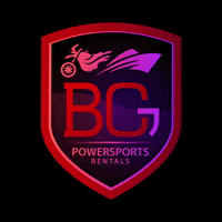Bcg GIF by BCGFam