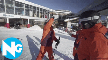 Ski Snowboarding GIF by skinewgen