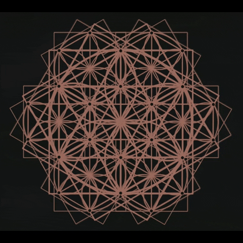 studeii giphyupload GIF