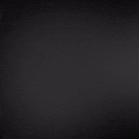 New Music Text GIF by Beyoncé