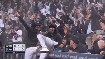 Celebrate Ny Yankees GIF by MLB