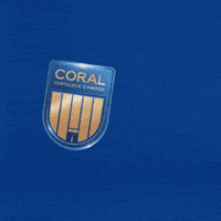 Coral Fortalece O Pintor GIF by Tintas Coral