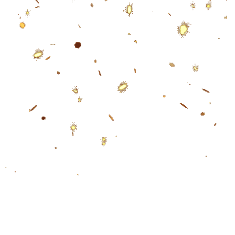 Groupe Igs All Are Welcome Sticker by Groupe IGS Toulouse