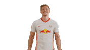 Marcel Halstenberg Win Sticker by RB Leipzig