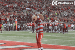 Ncaa Sports GIF by Ohio State Athletics
