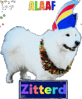 Carnaval Benji Sticker