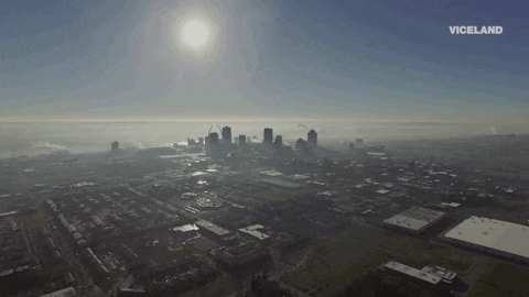 viceland GIF by ABANDONED