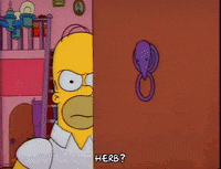 Excited Season 3 GIF by The Simpsons