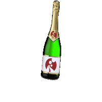Party Birthday Sticker by Franciacortatour