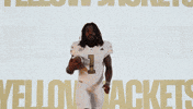 Georgia Tech Football Sport GIF by Georgia Tech Yellow Jackets