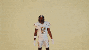 Georgia Tech Football Sport GIF by Georgia Tech Yellow Jackets