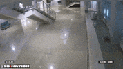 GIF by SB Nation