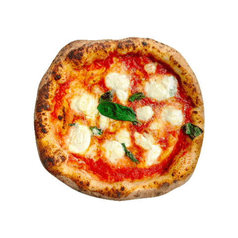 royalpizzaitalia giphyupload food wow cool Sticker