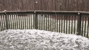 Heavy Hail Blankets Backyard in Cleveland, Tennessee