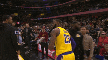 flinch lebron james GIF by NBA