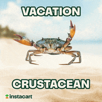 Spring Break Summer GIF by Instacart
