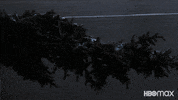 Christmas Tree GIF by HBO Max
