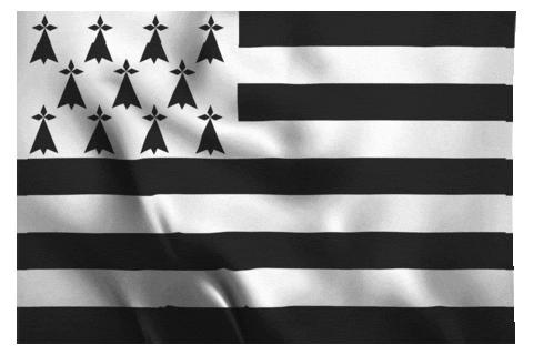 Drapeau-breton GIFs - Get the best GIF on GIPHY