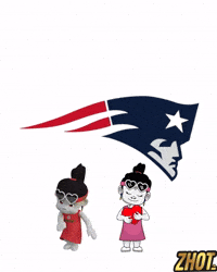 New England Patriots Football GIF by Zhotcita