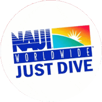 arrecifesdelpacifico dive diving scuba freediving Sticker