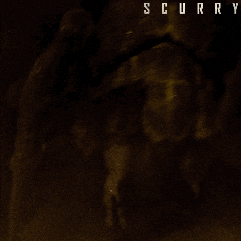 Scurry Creature Feature GIF by Signature Entertainment