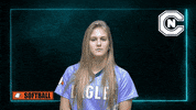 Sports Team Sport GIF by Carson-Newman Athletics