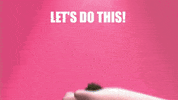 Save Lets Go GIF by SaveMyBacon