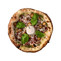Pizza Fish Sticker by Daniele Aiello Il Pescatore