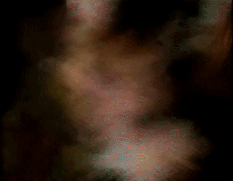 lotusmonger giphyupload joker secret jared leto GIF