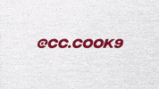 College Softball GIF by Boston College Eagles