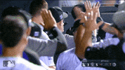 hugs GIF by MLB