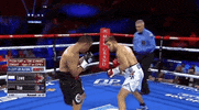 toprank fight boxing fighting espn GIF