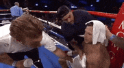 toprank fight boxing fighting espn GIF