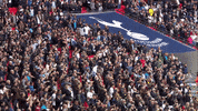 london football GIF by Tottenham Hotspur