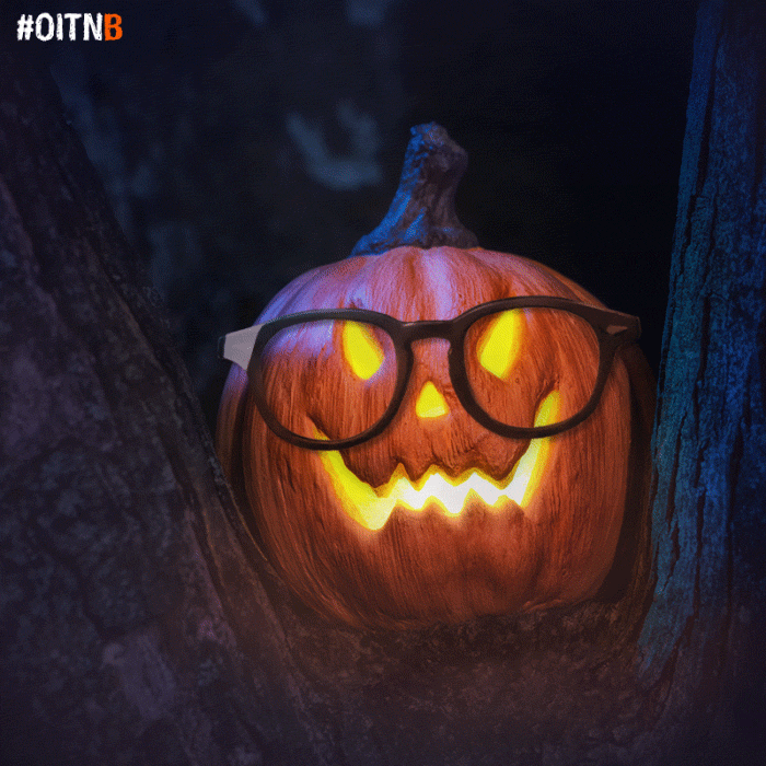 Orange Is The New Black GIF by NETFLIX