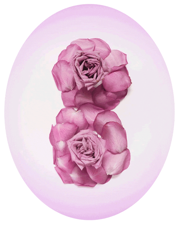 Stop Motion Flowers Sticker by cintascotch