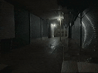 Footage Oaf GIF by jorgemariozuleta