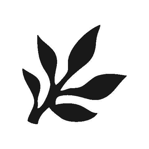 Skincare Waxing Sticker by The Pink Canoe Studio