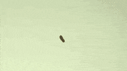 chadvangaalen animation illustration collage hand drawn GIF