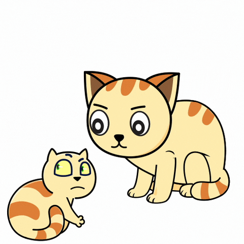 Good Morning Love GIF by JPedicini