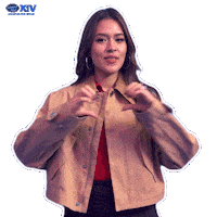 Homeoftheidols Sticker by Indonesian Idol