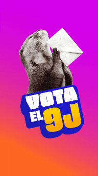 eugeniass otter nutria eugenias GIF