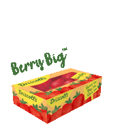 Food Summer Sticker by DriscollsBerry