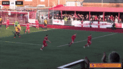 worthingfc football goal team uk GIF
