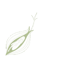 Ilpoteredelladesso Sticker