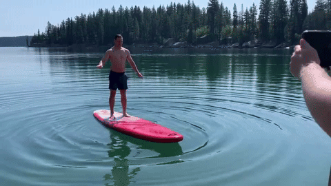 michalkin giphyupload GIF