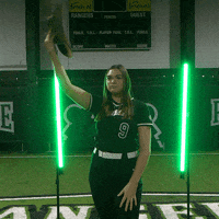 Parkside Softball GIF by Parkside Athletics