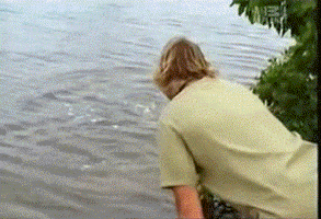 TV gif. Steve Irwin the Crocodile Hunter looking down at a body of water, turns around and gives a double thumbs-up, mouthing "that's good."