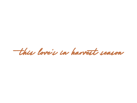 tigirlilygold giphyupload love country music love song Sticker