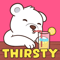 Refreshing Teddy Bear GIF by BEARISH